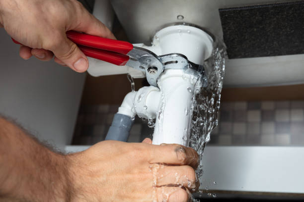 Best Local water damage restoration  in Hampshire, IL