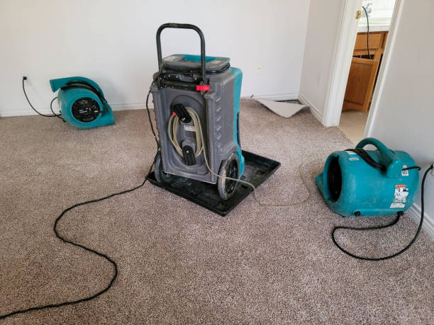 Best Water damage restoration near me  in Hampshire, IL