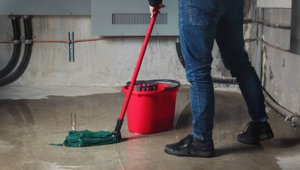 Best Sewage cleanup and water damage restoration  in Hampshire, IL