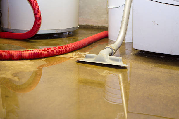 Best Residential water damage restoration  in Hampshire, IL