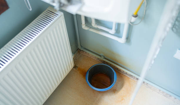Best Water damage restoration mold remediation  in Hampshire, IL
