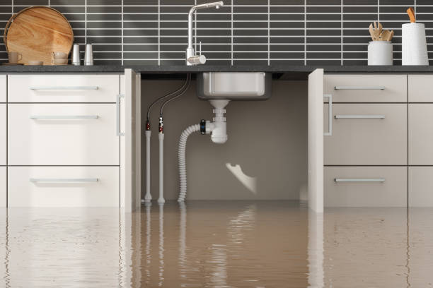 Best Water damage contractors near me  in Hampshire, IL